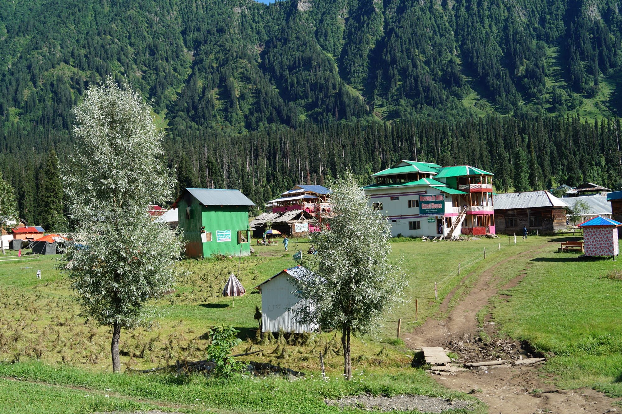 Kashmir - Photo 2