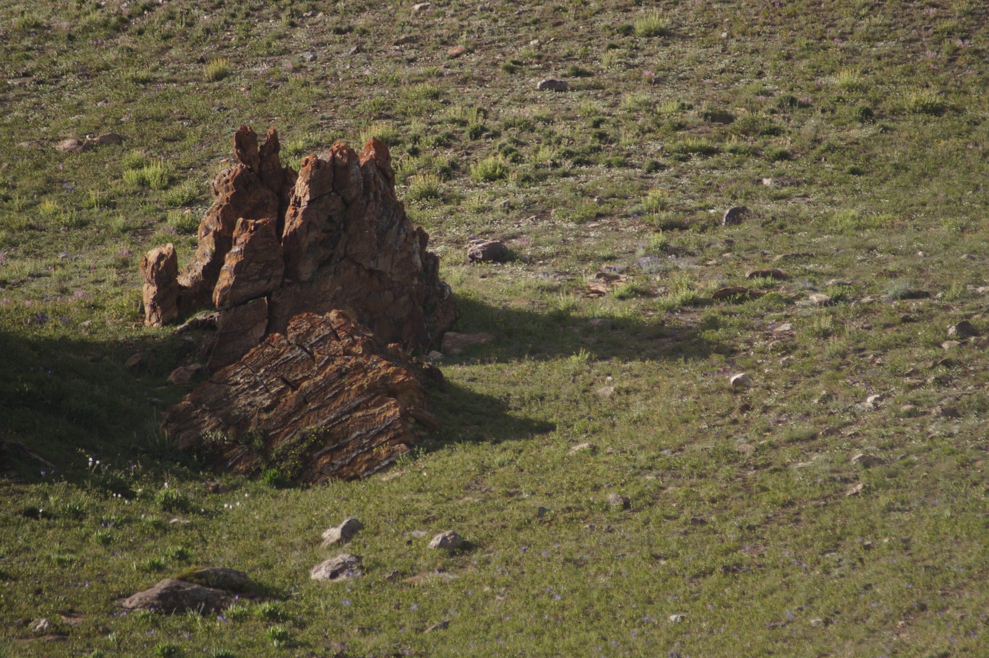 Krumber Lake - Photo 7