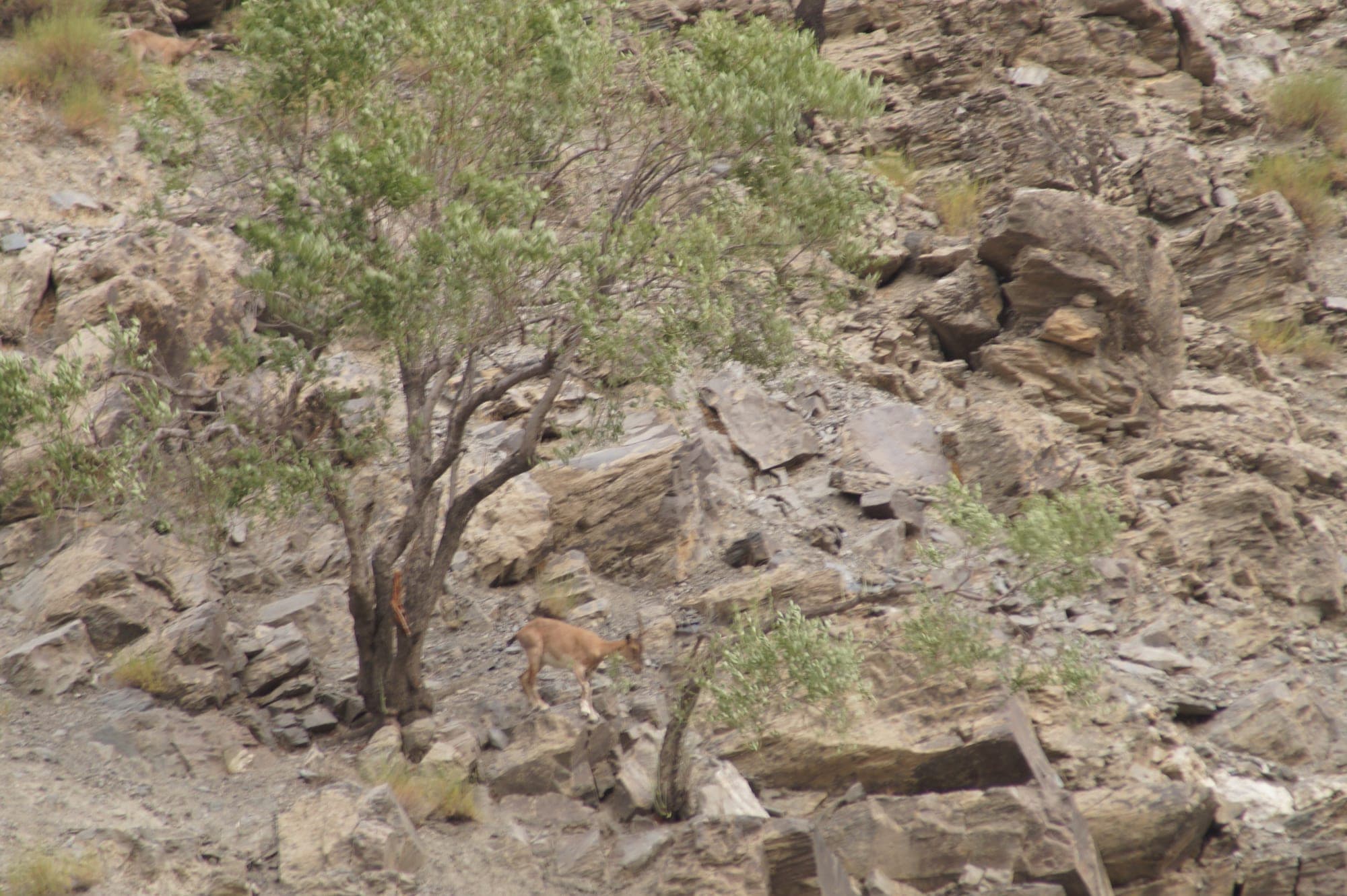 Chitral - Photo 3