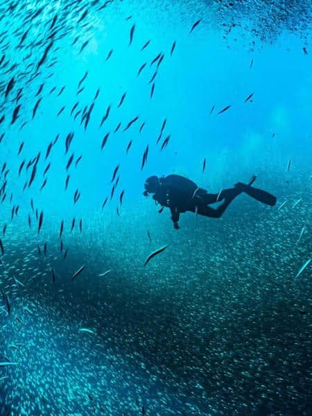 Diving